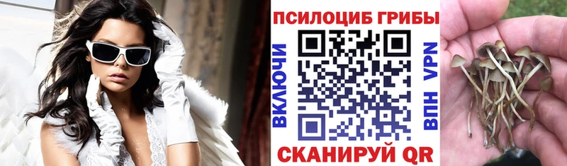 Псилоцибиновые грибы мухоморы Богородск